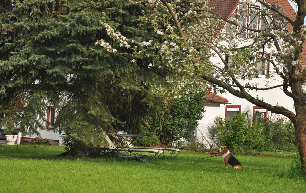Haeuser Der Villa Italia Marktheidenfeld Ngoại thất bức ảnh